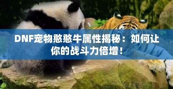 DNF寵物憨憨牛屬性揭秘：如何讓你的戰(zhàn)斗力倍增！