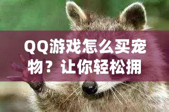 QQ游戲怎么買寵物？讓你輕松擁有超萌寵物，快來(lái)體驗(yàn)吧！