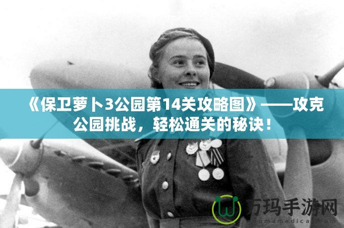 《保衛(wèi)蘿卜3公園第14關(guān)攻略圖》——攻克公園挑戰(zhàn)，輕松通關(guān)的秘訣！