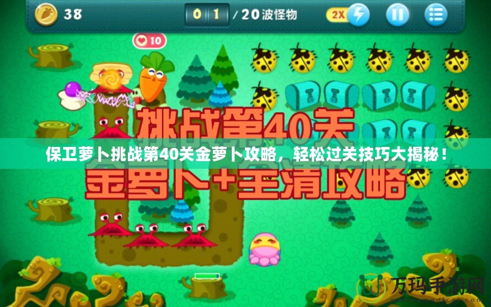 保衛(wèi)蘿卜挑戰(zhàn)第40關(guān)金蘿卜攻略，輕松過關(guān)技巧大揭秘！