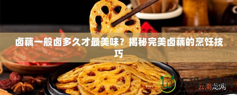鹵藕一般鹵多久才最美味？揭秘完美鹵藕的烹飪技巧