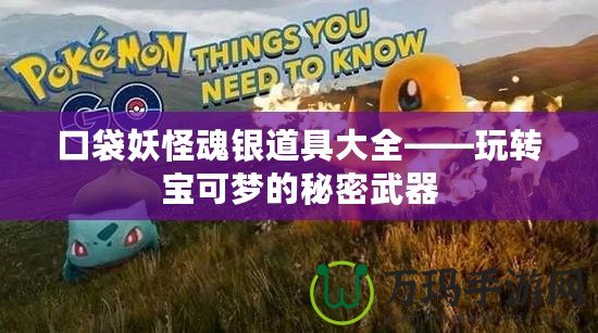 口袋妖怪魂銀道具大全——玩轉(zhuǎn)寶可夢的秘密武器