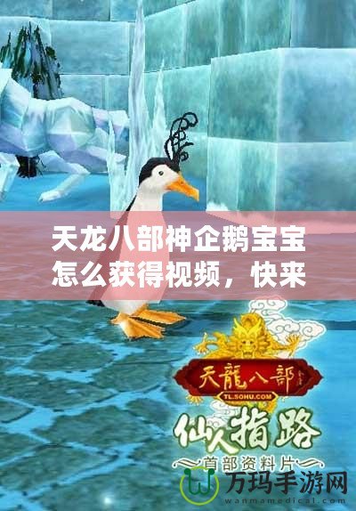 天龍八部神企鵝寶寶怎么獲得視頻，快來(lái)一探究竟！