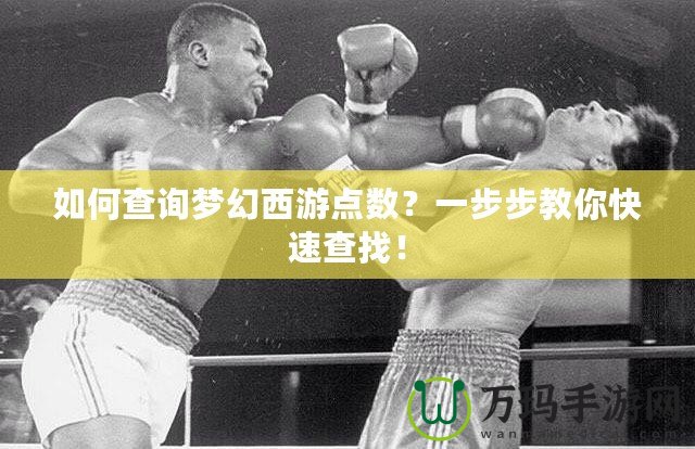 如何查詢夢(mèng)幻西游點(diǎn)數(shù)？一步步教你快速查找！