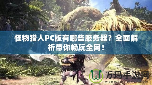 怪物獵人PC版有哪些服務(wù)器？全面解析帶你暢玩全網(wǎng)！