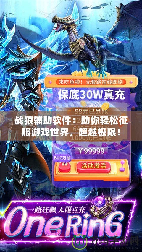 戰(zhàn)狼輔助軟件：助你輕松征服游戲世界，超越極限！