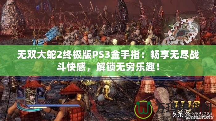 無(wú)雙大蛇2終極版PS3金手指：暢享無(wú)盡戰(zhàn)斗快感，解鎖無(wú)窮樂(lè)趣！