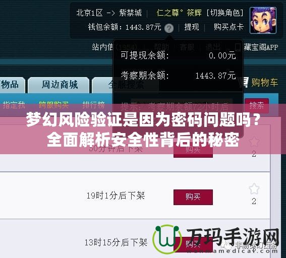夢幻風(fēng)險(xiǎn)驗(yàn)證是因?yàn)槊艽a問題嗎？全面解析安全性背后的秘密