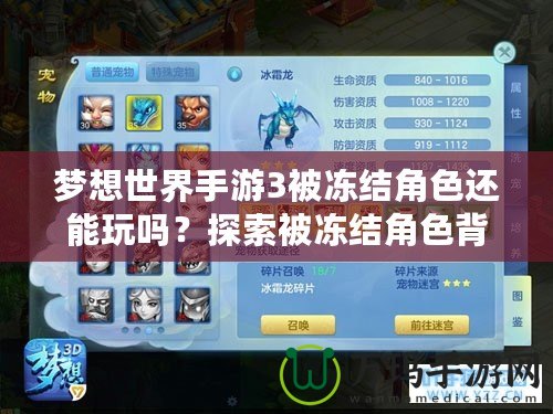 夢(mèng)想世界手游3被凍結(jié)角色還能玩嗎？探索被凍結(jié)角色背后的秘密