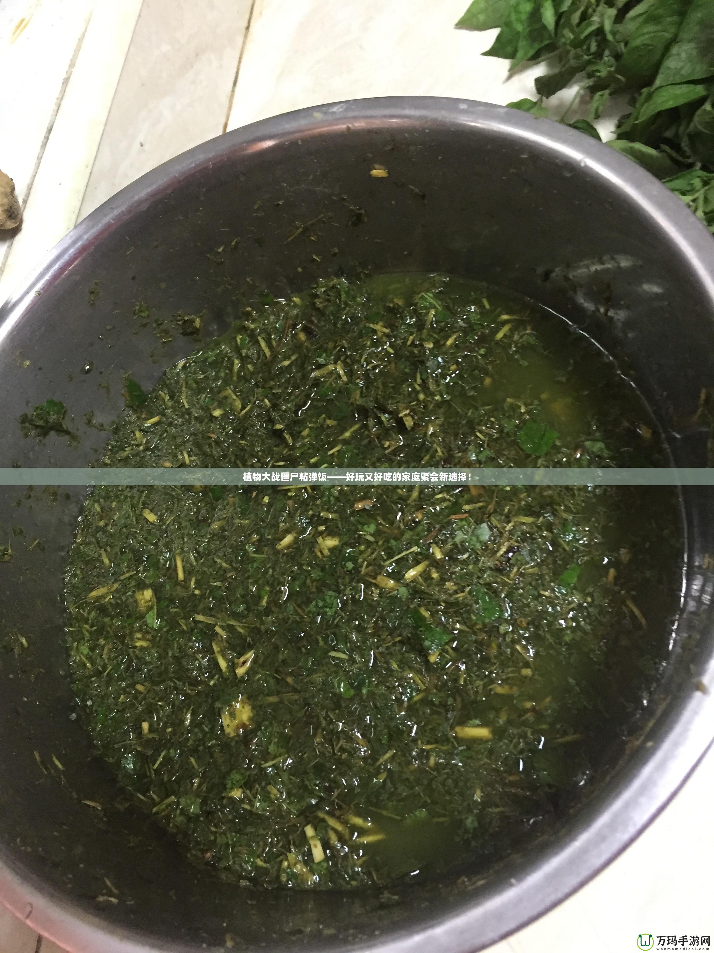 植物大戰(zhàn)僵尸粘彈飯——好玩又好吃的家庭聚會新選擇！