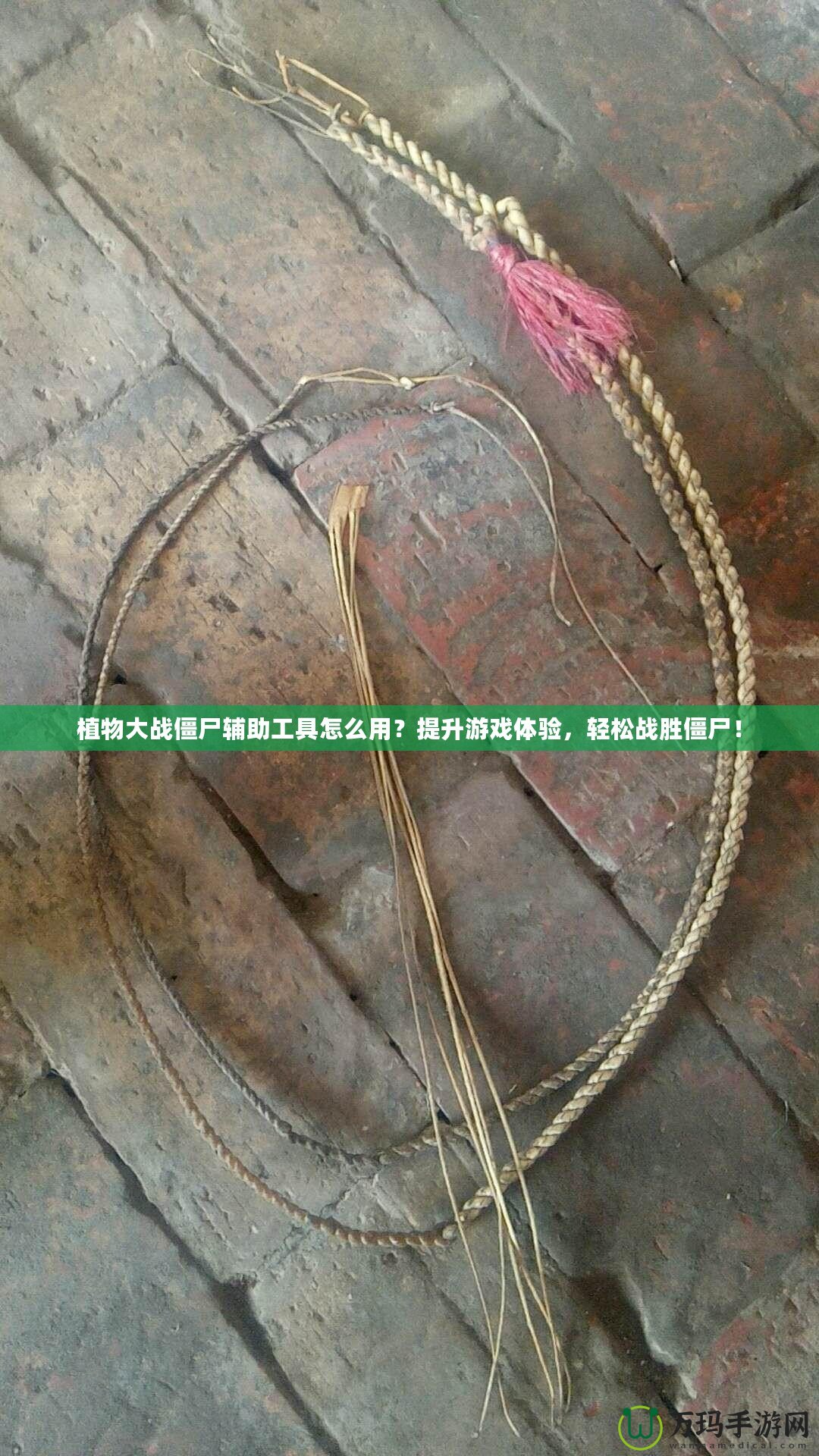 植物大戰(zhàn)僵尸輔助工具怎么用？提升游戲體驗，輕松戰(zhàn)勝僵尸！