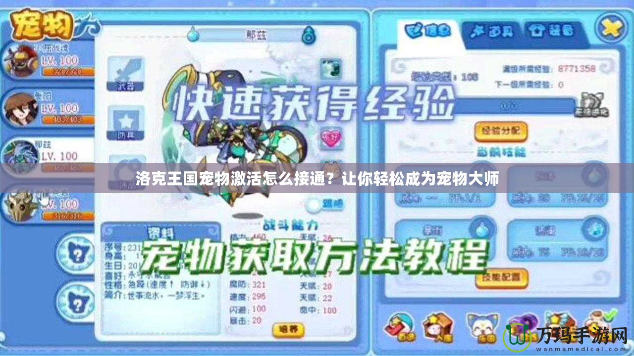 洛克王國寵物激活怎么接通？讓你輕松成為寵物大師