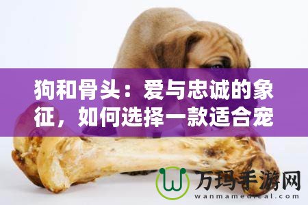 狗和骨頭：愛與忠誠(chéng)的象征，如何選擇一款適合寵物的骨頭？