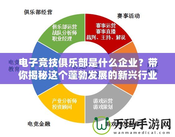 電子競技俱樂部是什么企業(yè)？帶你揭秘這個蓬勃發(fā)展的新興行業(yè)！