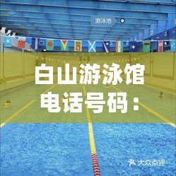 白山游泳館電話號碼：暢享健康與快樂的水上樂園