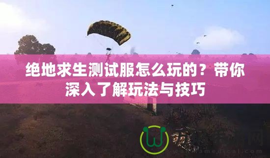 絕地求生測(cè)試服怎么玩的？帶你深入了解玩法與技巧