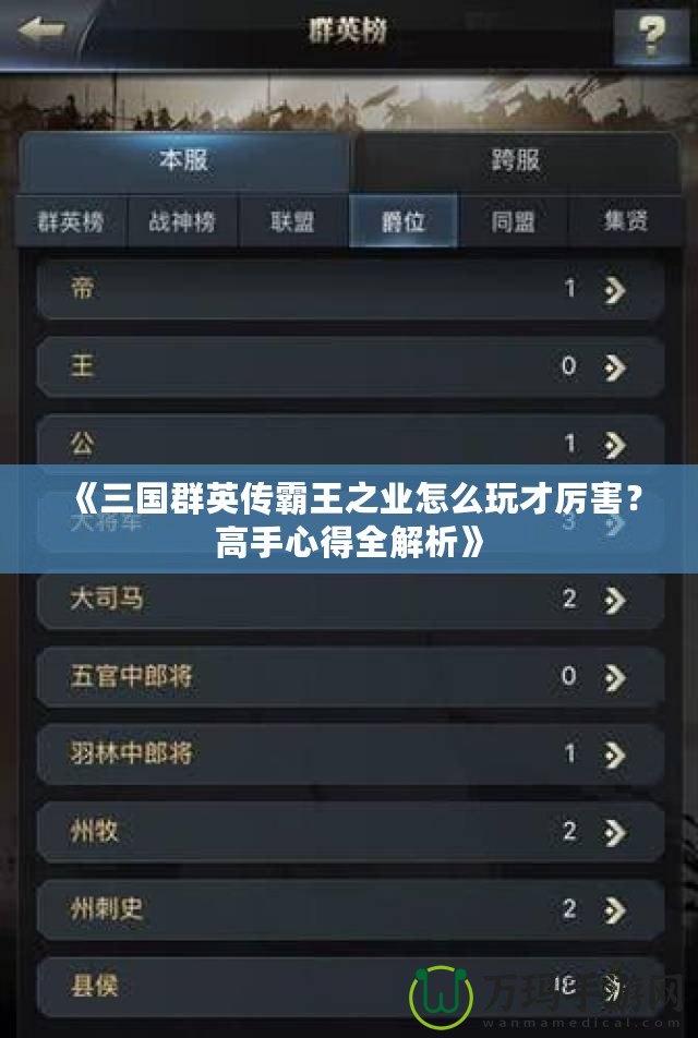 《三國群英傳霸王之業(yè)怎么玩才厲害？高手心得全解析》
