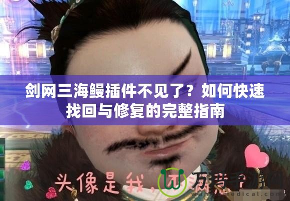 劍網(wǎng)三海鰻插件不見了？如何快速找回與修復(fù)的完整指南