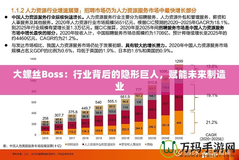 大螺絲Boss：行業(yè)背后的隱形巨人，賦能未來(lái)制造業(yè)