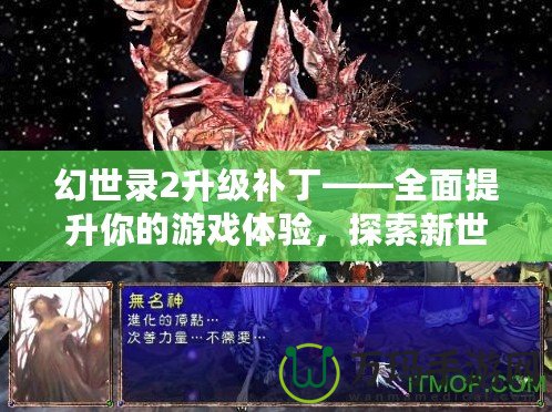 幻世錄2升級補丁——全面提升你的游戲體驗，探索新世界