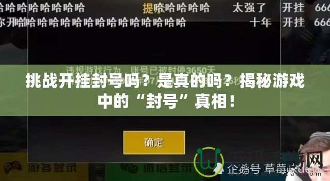 挑戰(zhàn)開(kāi)掛封號(hào)嗎？是真的嗎？揭秘游戲中的“封號(hào)”真相！