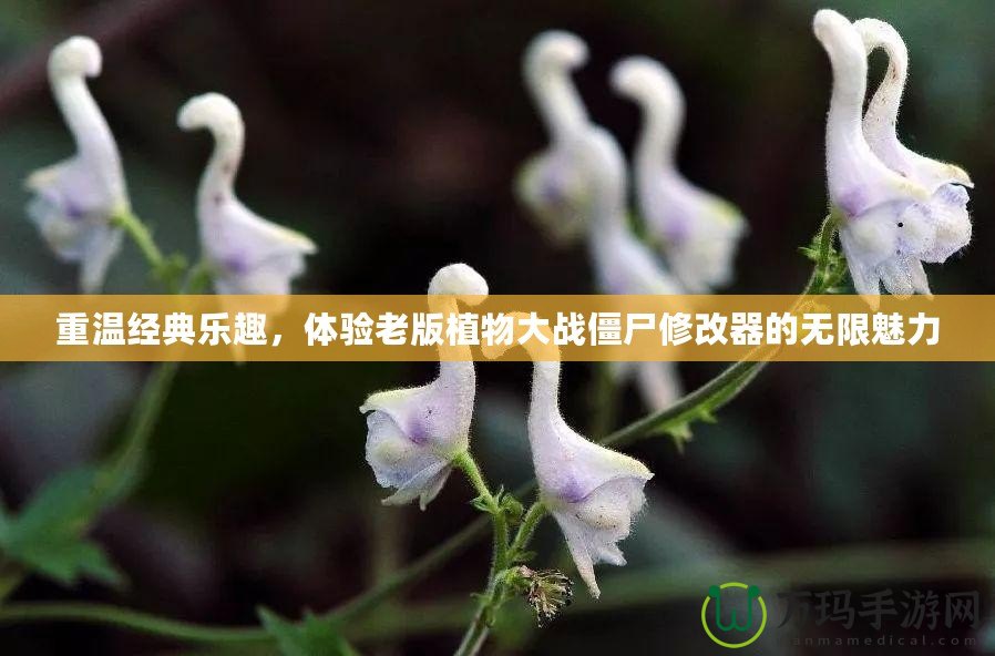 重溫經(jīng)典樂趣，體驗(yàn)老版植物大戰(zhàn)僵尸修改器的無限魅力