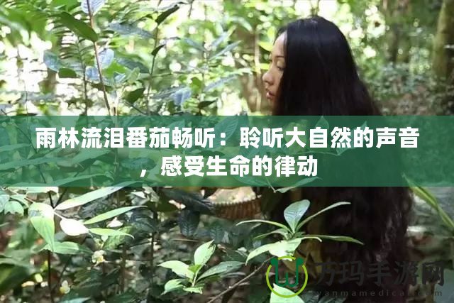 雨林流淚番茄暢聽：聆聽大自然的聲音，感受生命的律動