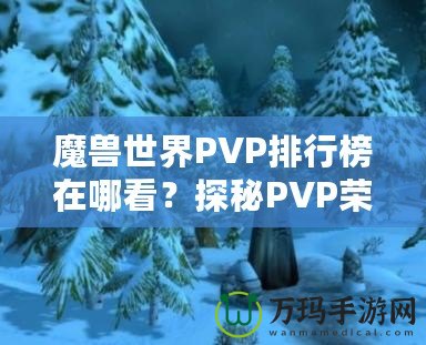 魔獸世界PVP排行榜在哪看？探秘PVP榮耀的捷徑！