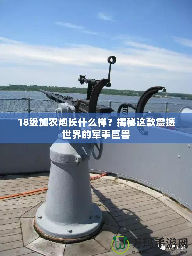 18級(jí)加農(nóng)炮長(zhǎng)什么樣？揭秘這款震撼世界的軍事巨獸