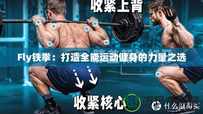Fly鐵拳：打造全能運動健身的力量之選