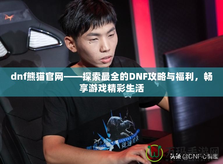 dnf熊貓官網(wǎng)——探索最全的DNF攻略與福利，暢享游戲精彩生活