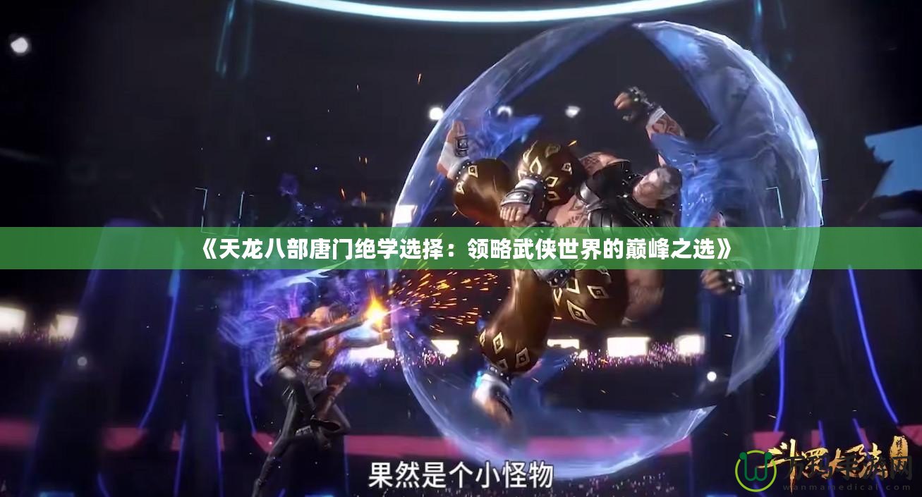 《天龍八部唐門絕學選擇：領略武俠世界的巔峰之選》