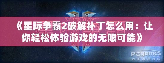 《星際爭霸2破解補(bǔ)丁怎么用：讓你輕松體驗游戲的無限可能》