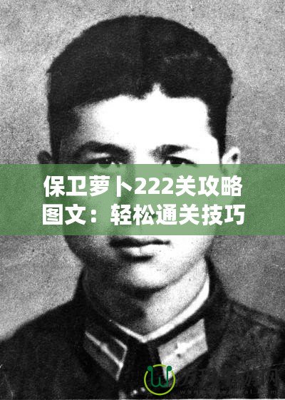 保衛(wèi)蘿卜222關(guān)攻略圖文：輕松通關(guān)技巧，讓你迅速過關(guān)！