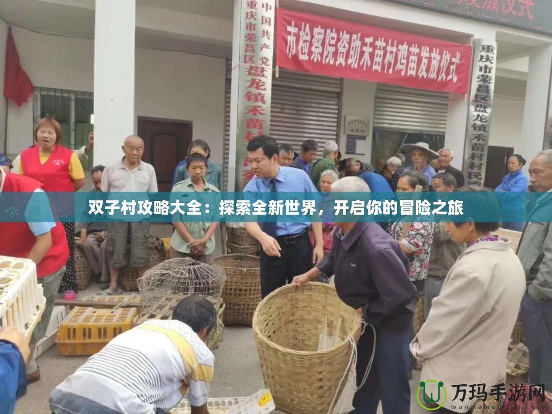 雙子村攻略大全：探索全新世界，開啟你的冒險(xiǎn)之旅