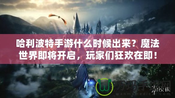 哈利波特手游什么時候出來？魔法世界即將開啟，玩家們狂歡在即！