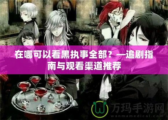 在哪可以看黑執(zhí)事全部？—追劇指南與觀看渠道推薦