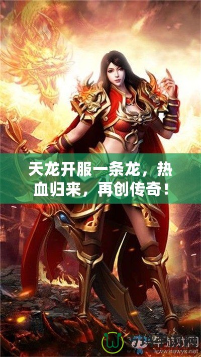 天龍開(kāi)服一條龍，熱血?dú)w來(lái)，再創(chuàng)傳奇！