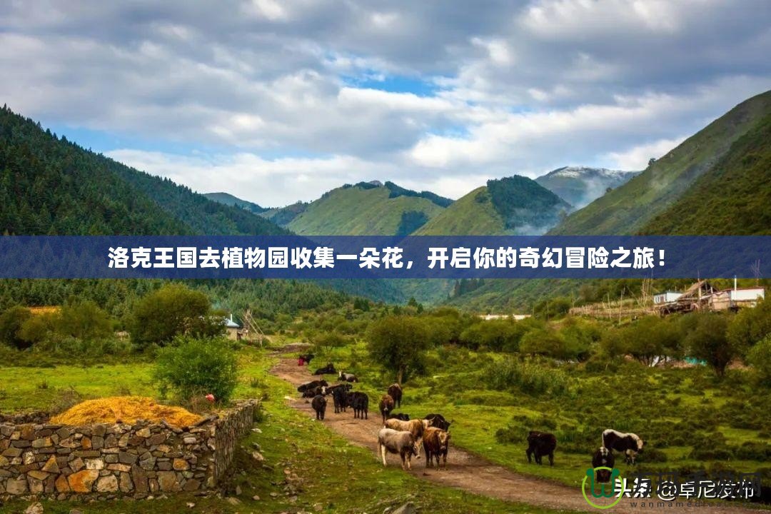 洛克王國去植物園收集一朵花，開啟你的奇幻冒險(xiǎn)之旅！