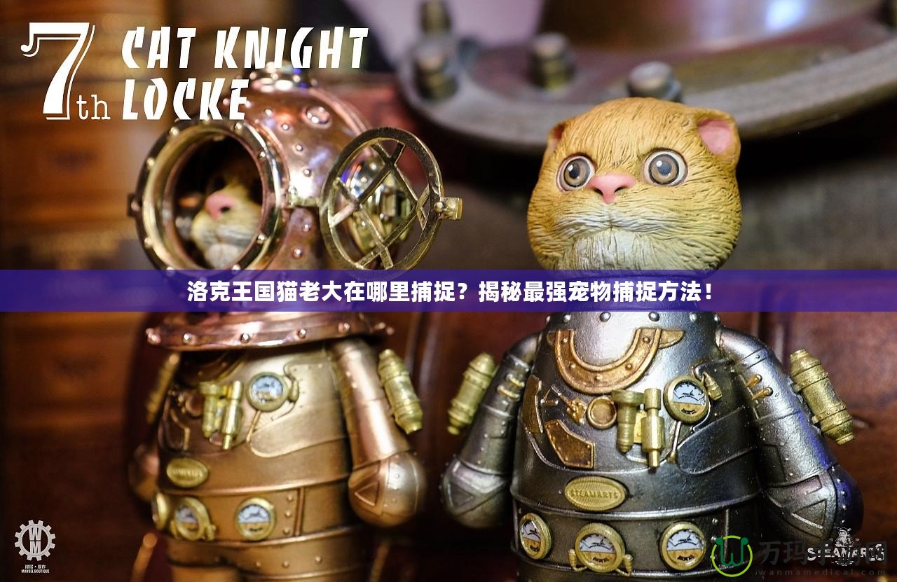 洛克王國(guó)貓老大在哪里捕捉？揭秘最強(qiáng)寵物捕捉方法！