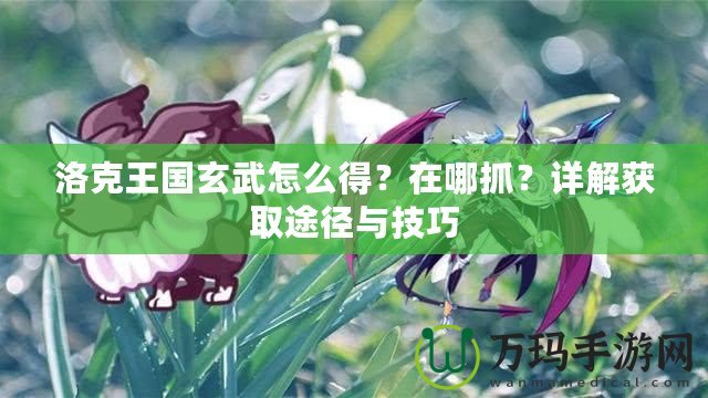 洛克王國(guó)玄武怎么得？在哪抓？詳解獲取途徑與技巧