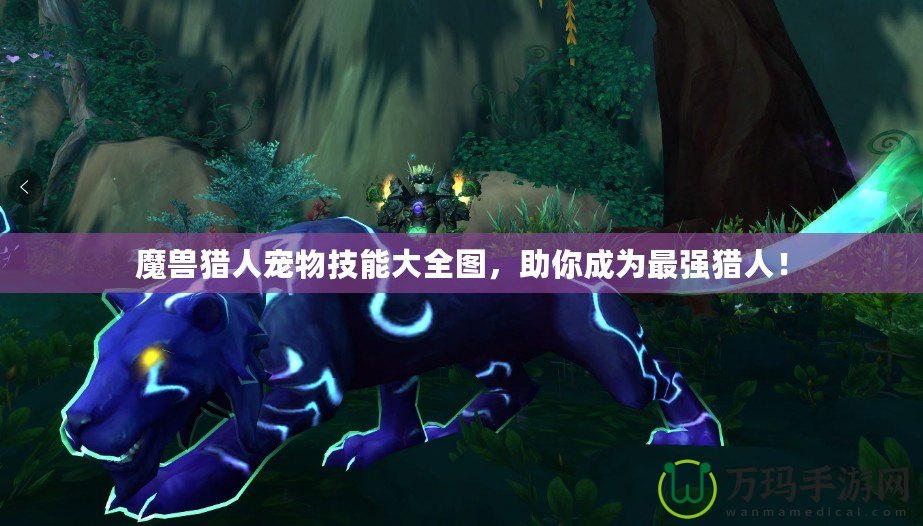 魔獸獵人寵物技能大全圖，助你成為最強獵人！