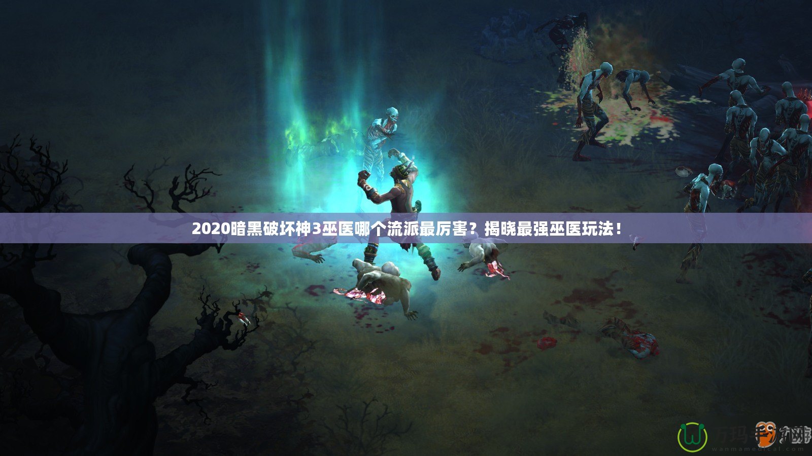 2020暗黑破壞神3巫醫(yī)哪個(gè)流派最厲害？揭曉最強(qiáng)巫醫(yī)玩法！