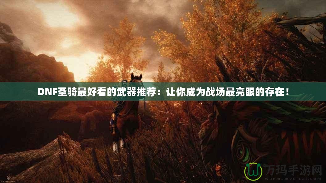 DNF圣騎最好看的武器推薦：讓你成為戰(zhàn)場(chǎng)最亮眼的存在！