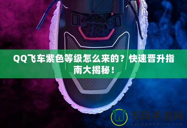 QQ飛車(chē)紫色等級(jí)怎么來(lái)的？快速晉升指南大揭秘！