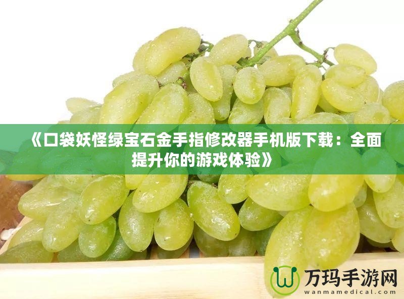 《口袋妖怪綠寶石金手指修改器手機版下載：全面提升你的游戲體驗》