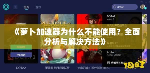 《蘿卜加速器為什么不能使用？全面分析與解決方法》