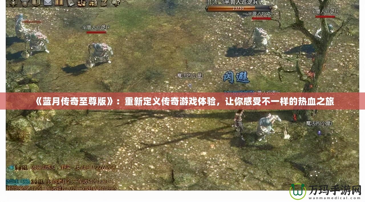 《藍(lán)月傳奇至尊版》：重新定義傳奇游戲體驗(yàn)，讓你感受不一樣的熱血之旅