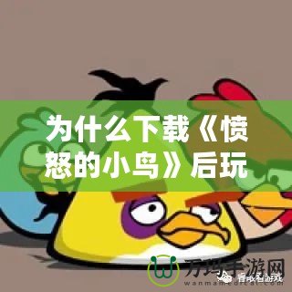 為什么下載《憤怒的小鳥》后玩不了？問題分析與解決方法
