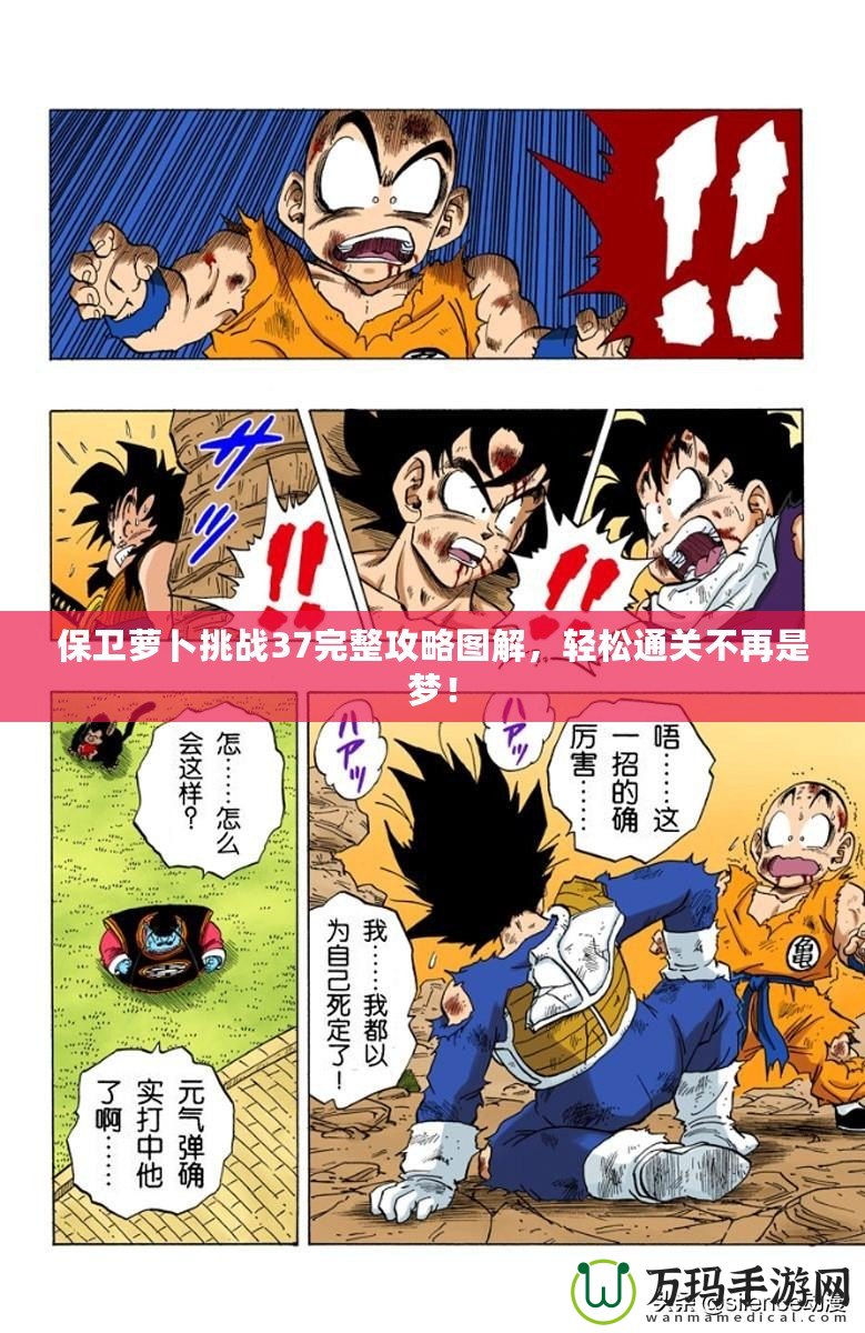 保衛(wèi)蘿卜挑戰(zhàn)37完整攻略圖解，輕松通關(guān)不再是夢！